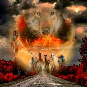 Meet your Posher, Noel